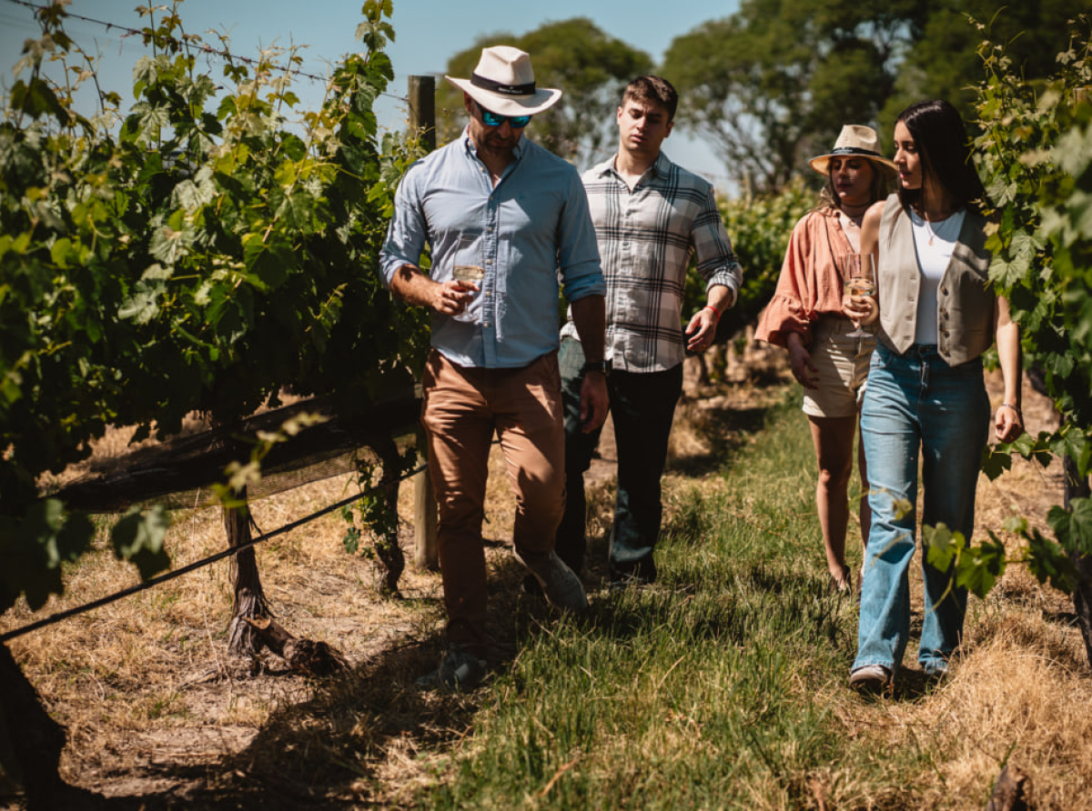 Bodega Doña Paula abre sus puertas al turismo