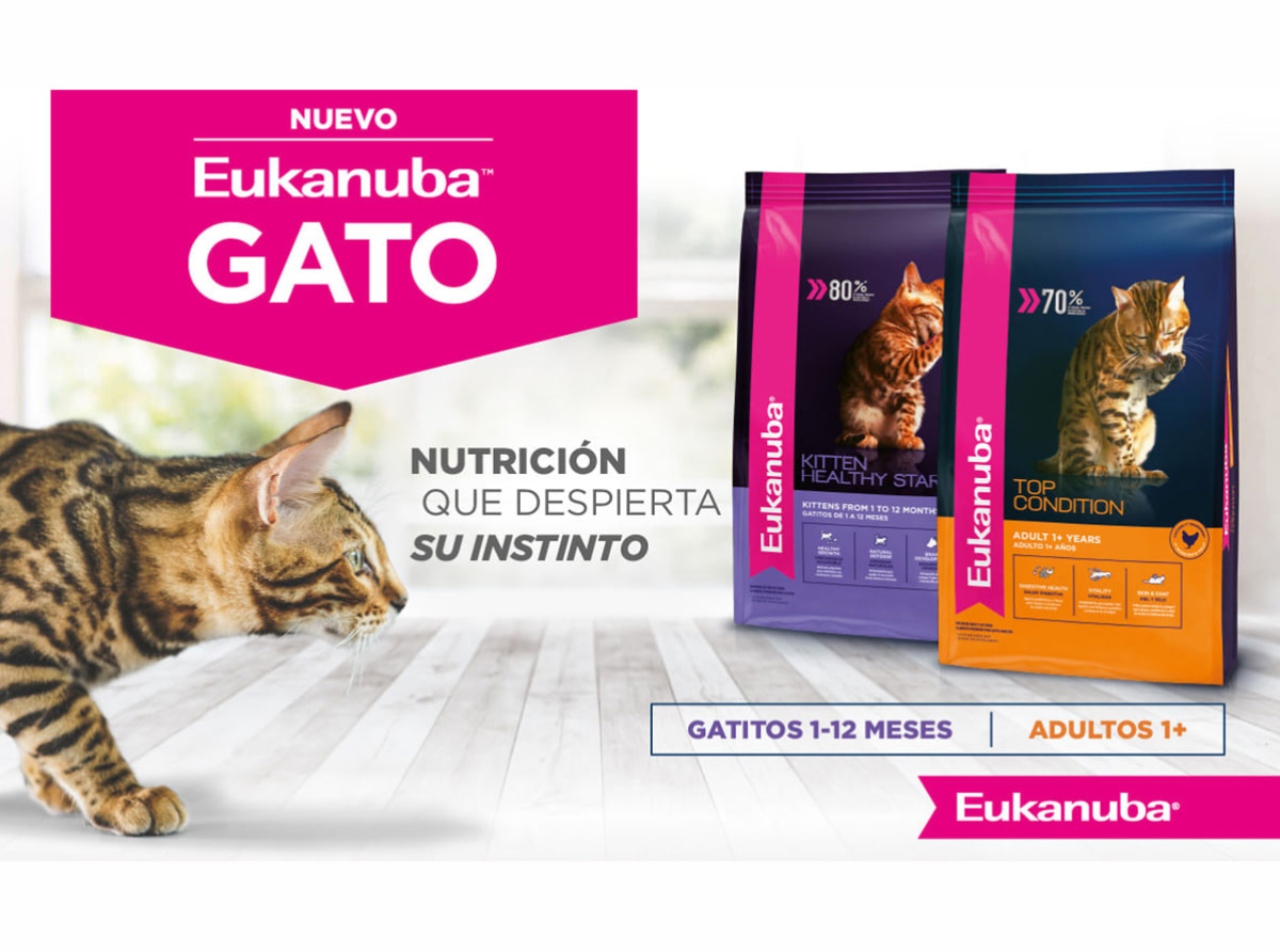Eukanuba despierta el instinto felino con su nueva línea de alimento para gatos en Argentina
