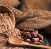 7 de julio – Día Mundial del Cacao: el “alimento de los dioses” que hace bien al cuerpo y al alma