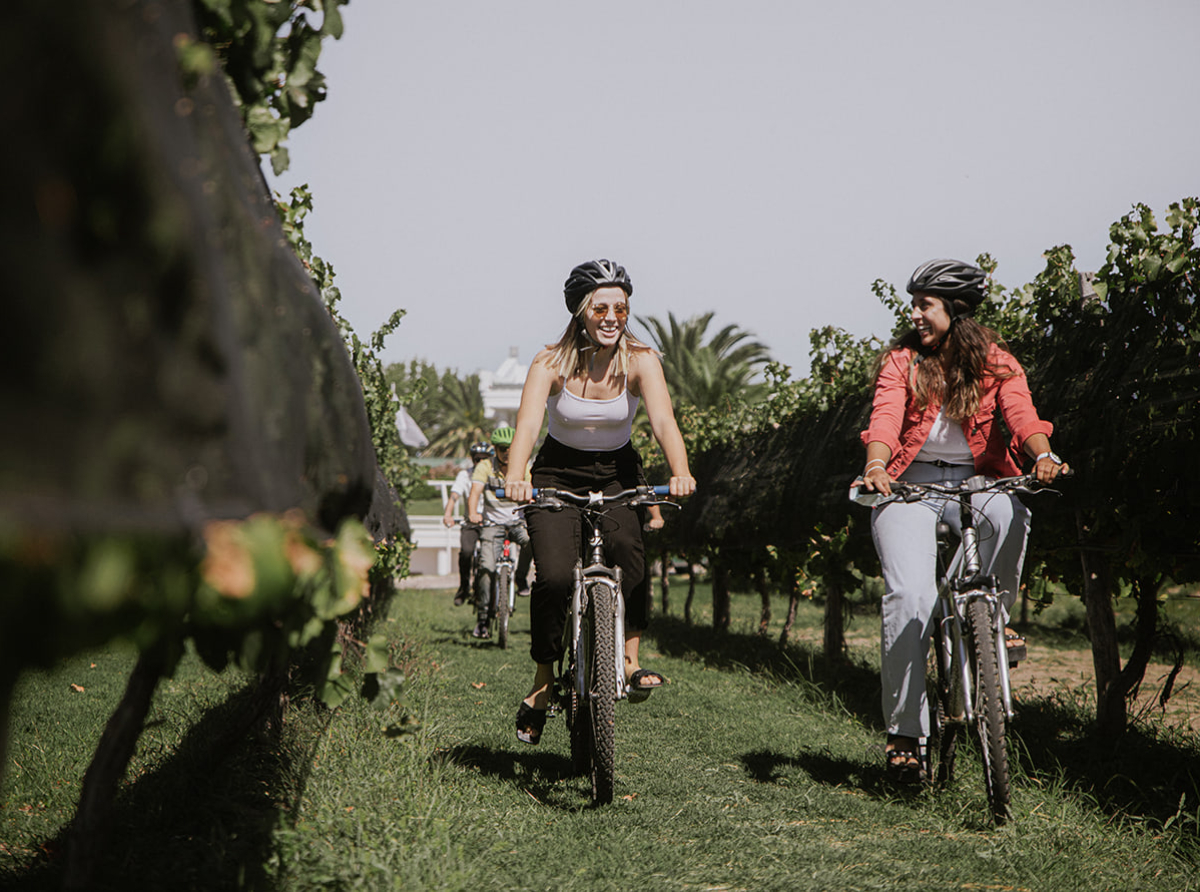 Bodegas Bianchi recibe por séptima vez el Travellers’ Choice Awards de Tripadvisor