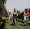 Bodegas Bianchi recibe por séptima vez el Travellers’ Choice Awards de Tripadvisor
