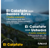 Descubrí El Calafate junto a Flybondi: glaciares, trekking y una gastronomía increíble