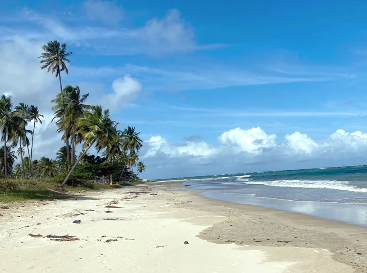 ¡El &quot;Caribe a menos de 5 horas&quot; te espera! Smiles Argentina ofrece vuelos hasta 30% más baratos a Brasil para este verano 2026.