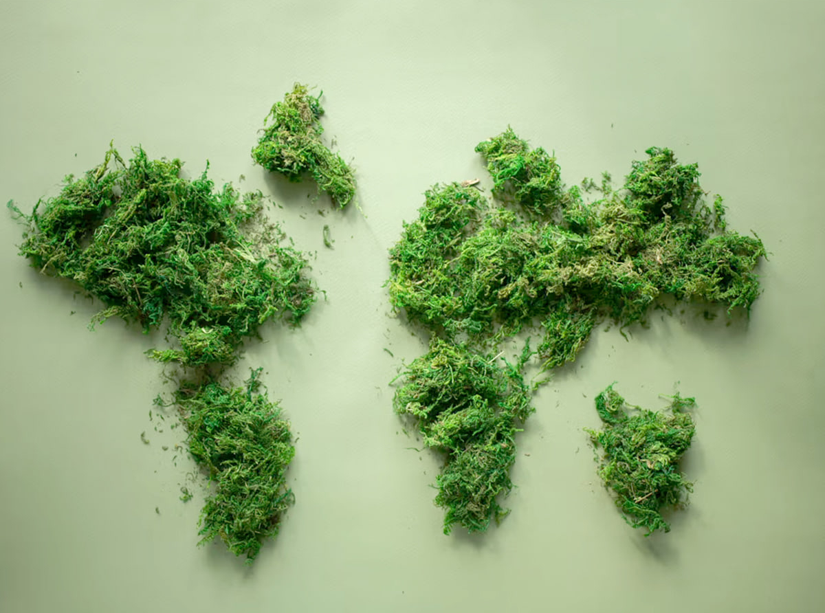 Más allá del &quot;check-in verde&quot;: 3 claves para que la hospitalidad comunique sostenibilidad con autenticidad y derrote al greenwashing.