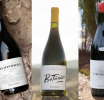 Zuccardi Valle de Uco conquista los rankings mundiales: tres de sus vinos son elegidos entre los mejores del mundo.