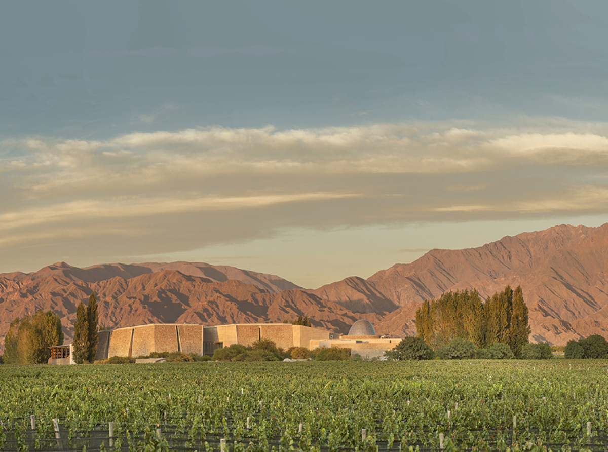 Zuccardi Valle de Uco celebra 10 años: la bodega multipremiada que nació desde el viñedo.