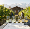 Radiografía del Chardonnay Argentino: Del Valor Cotidiano a la Alta Gama en su Día Internacional