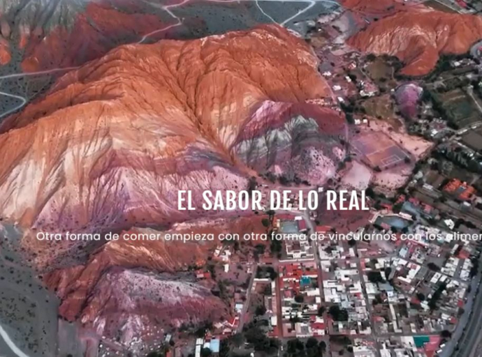 El Retorno a la Raíz: Bioconexión y la Revolución del Terroir en la Alta Gastronomía