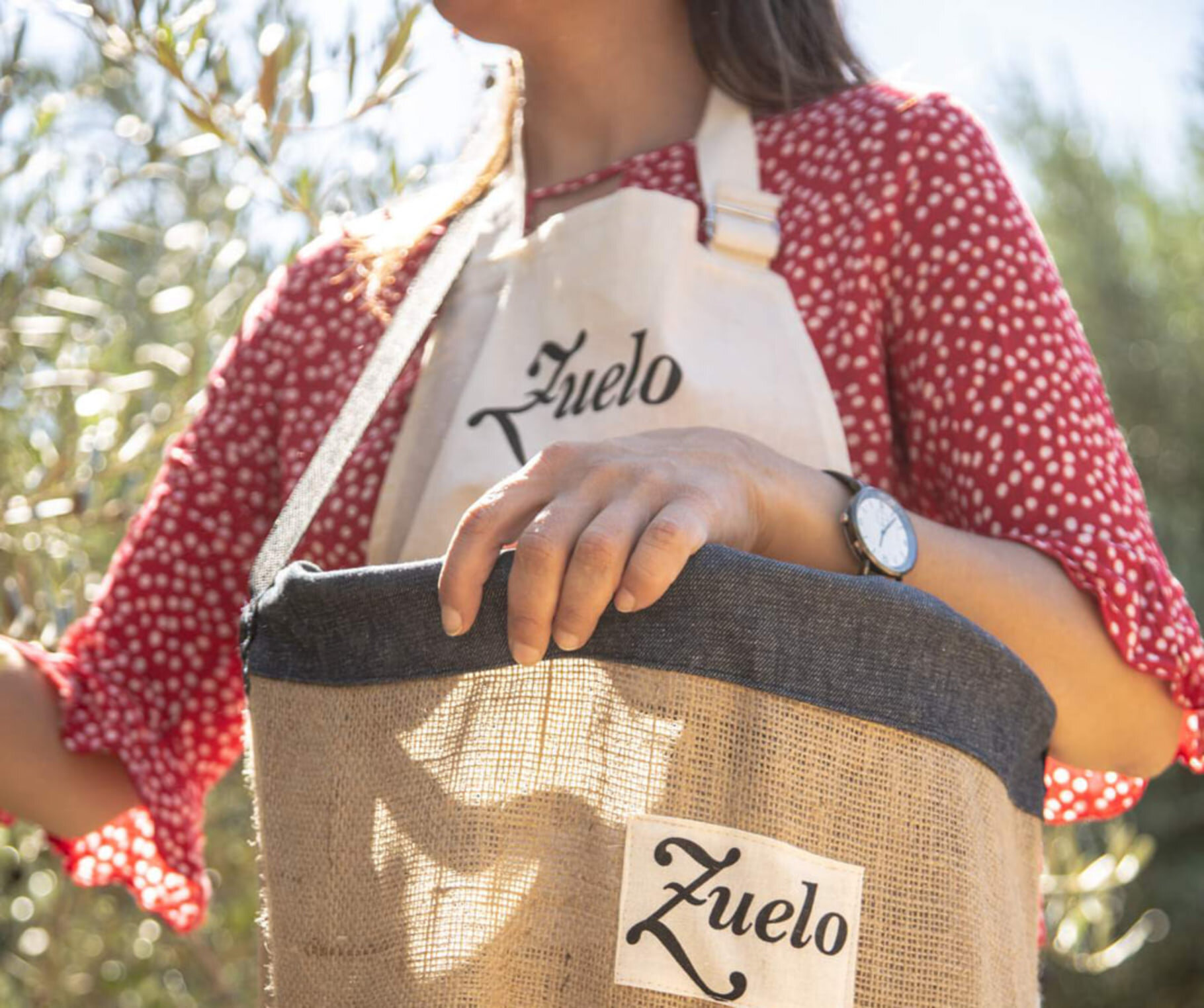 Zuelo te invita a ser 'Olivarero por un día'