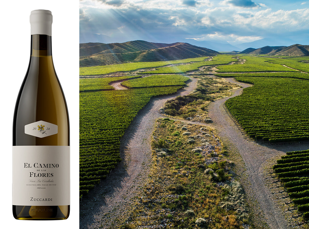Zuccardi presenta el primer vino blanco argentino en llegar a La Place de Bordeaux