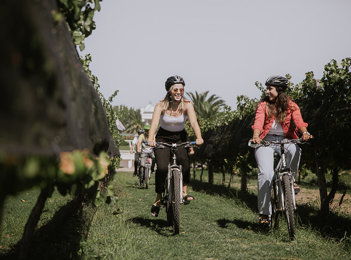 Bodegas Bianchi recibe por séptima vez el Travellers’ Choice Awards de Tripadvisor