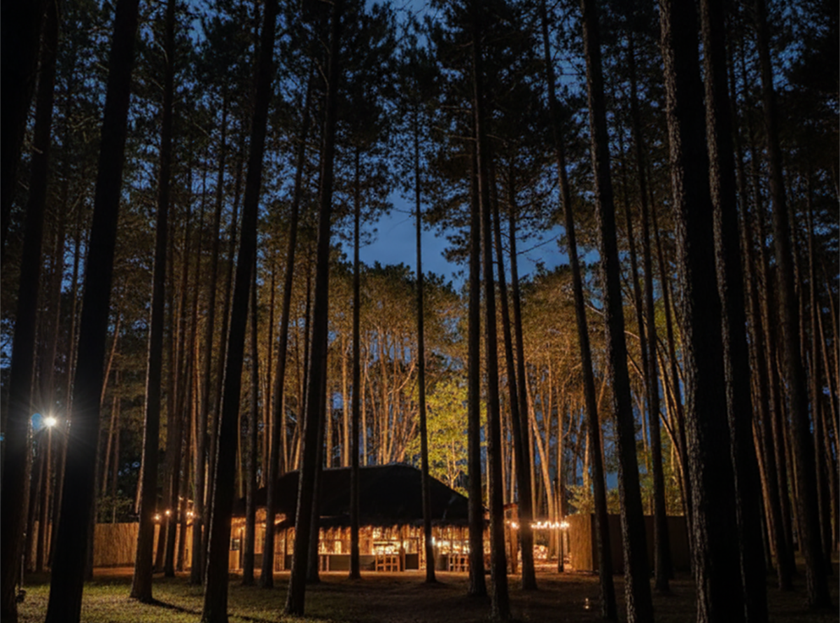 Soto Bosque: el nuevo refugio de fuego y música que se esconde en los bosques de La Barra.
