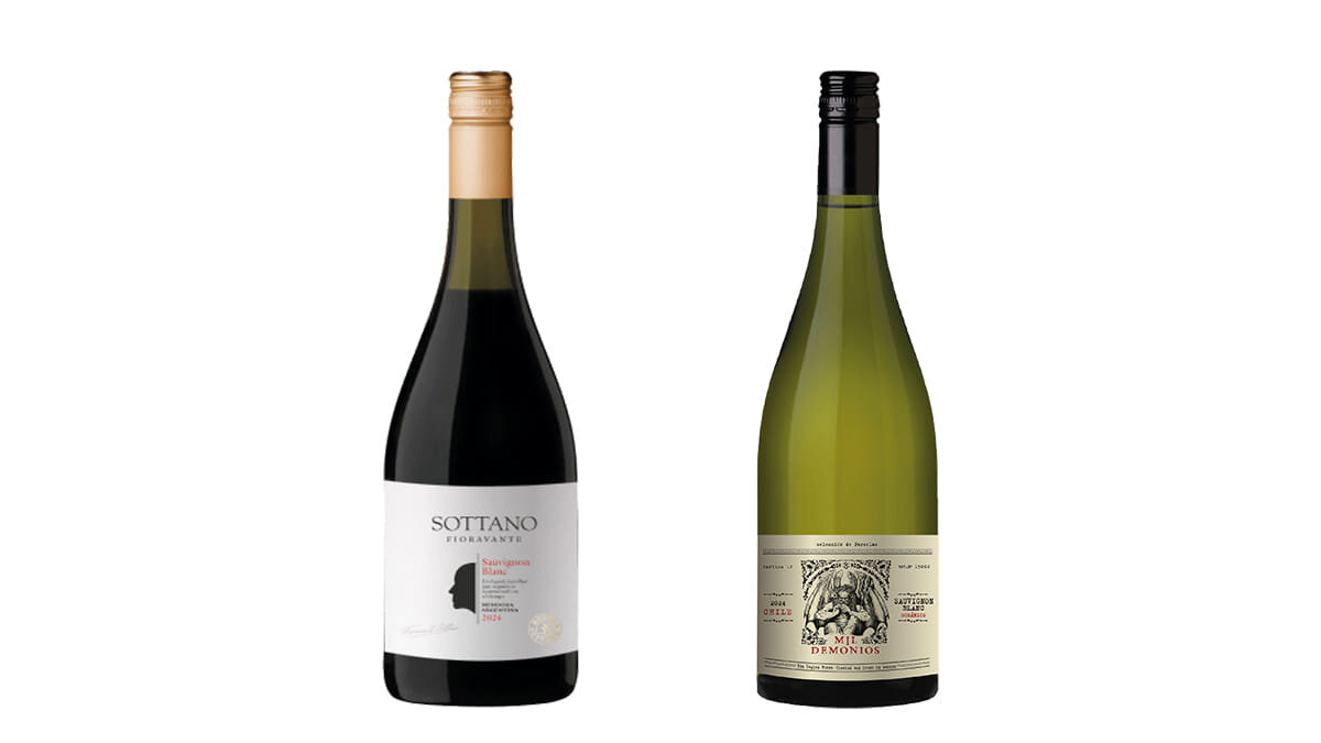 El Despertar del Terroir: Dos Expresiones de Sauvignon Blanc para Celebrar su Día