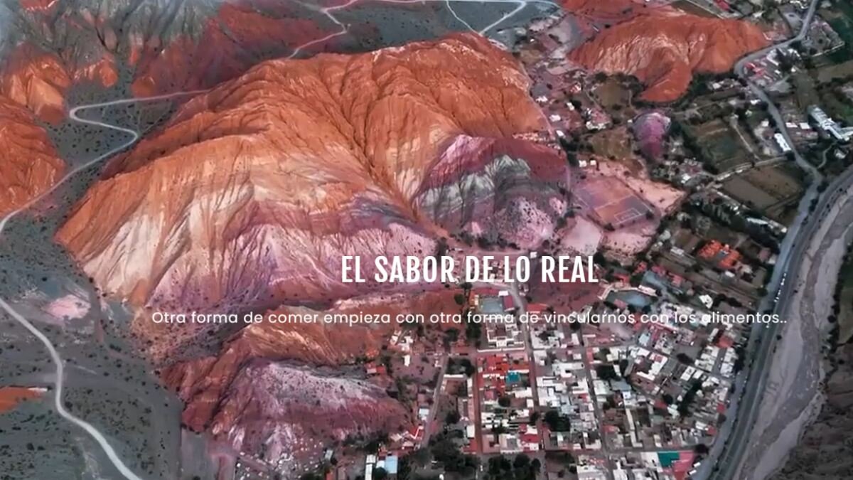 El Retorno a la Raíz: Bioconexión y la Revolución del Terroir en la Alta Gastronomía