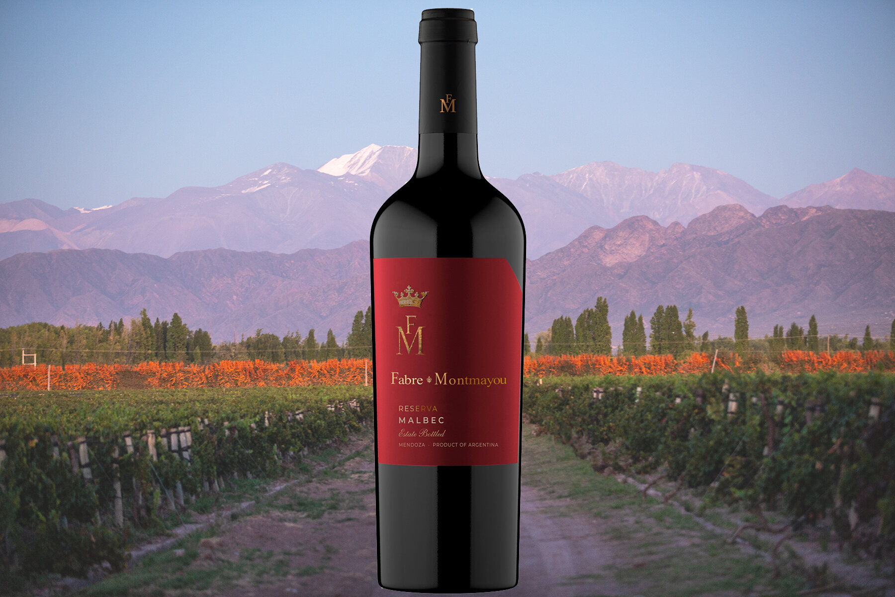 Un Malbec de Luján de Cuyo, coronado como Master en Londres