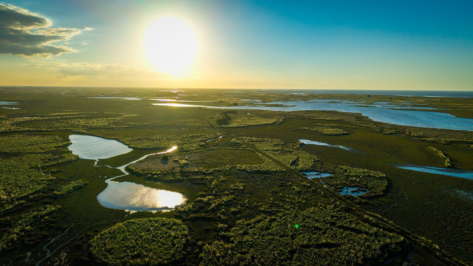 Día de la Protección de la Naturaleza: la Argentina perdió más de 3 millones de hectáreas de pastizales en dos décadas